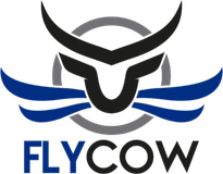 Fly Cow